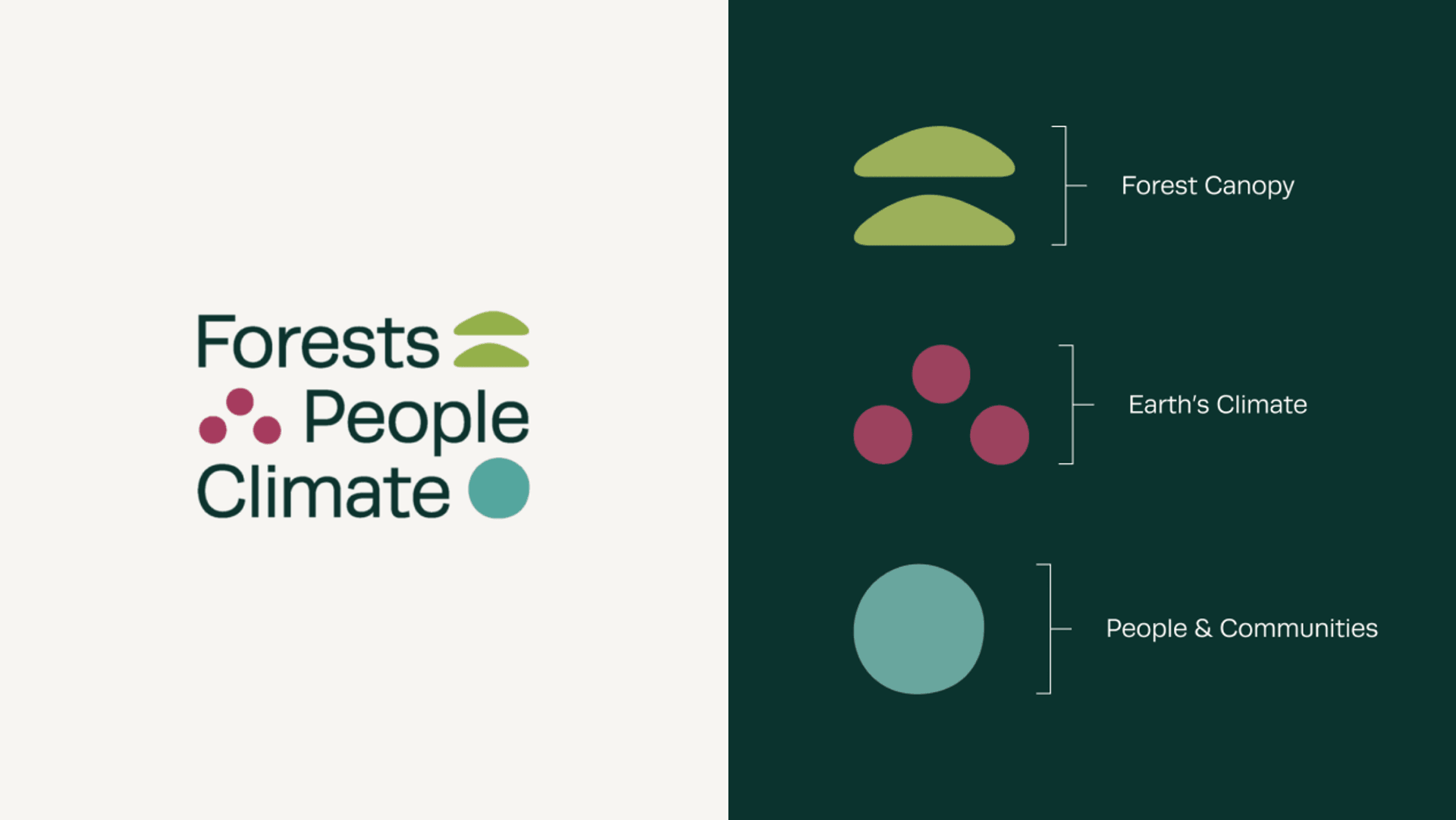forest people climate case study picture